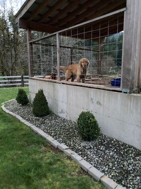 Meet your Posher, Hunter